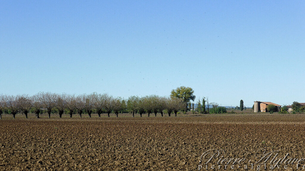 En chemin