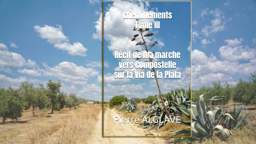 Cheminements Tome 3 : via de la Plata